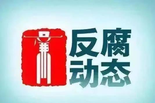 程峰一审获刑12年，法律公正与社会正义的交汇点