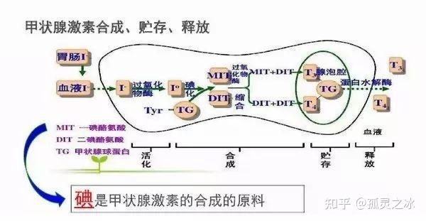 第3184页