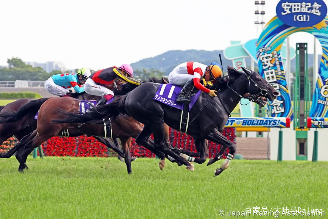 香港特马资料王中王内部数据与行业分析,香港特马资料王中王_{关键词3}