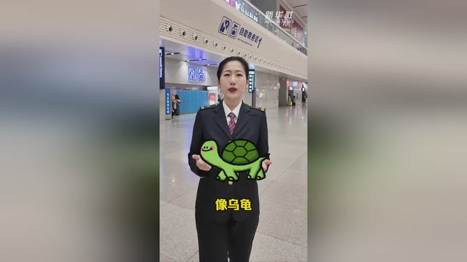 蛇年能否带活宝小萌宠——动车上的神秘之旅