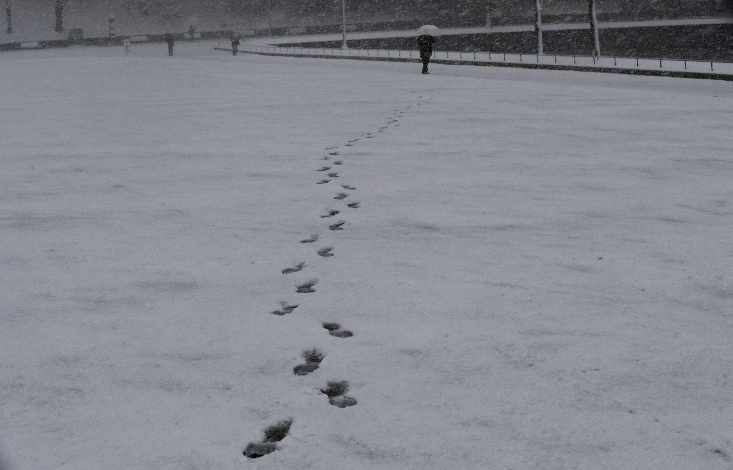 日本遭遇灾害级大雪侵袭，严重影响交通与民众生活