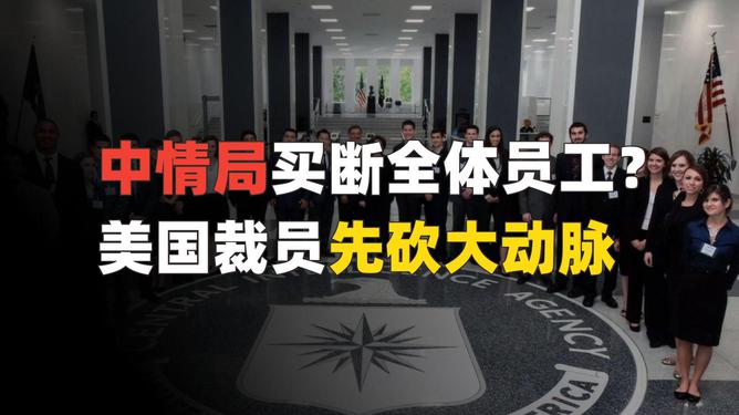 揭秘中情局买断员工事件，历史记载中的罕见现象