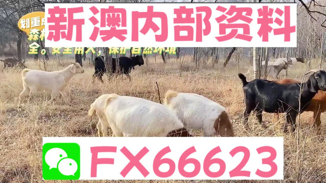 惊！新澳2025今晚开奖资料四不像！冰雪激情+进阶款77.54六、引爆全场！