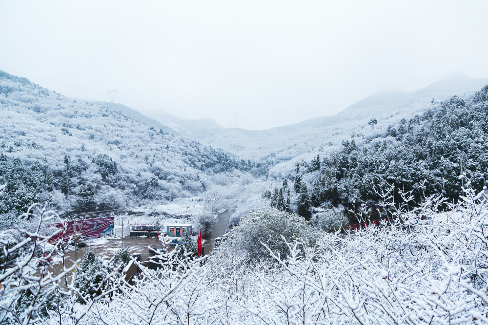 惊艳！雪后济南竟美得让人窒息，这些绝美画面你绝对没见过！