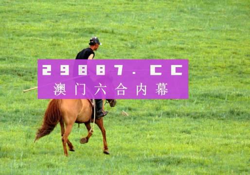 惊爆！新澳门内部一码精准公开网站背后的智慧启示，高级版25.794竟藏人生密码？