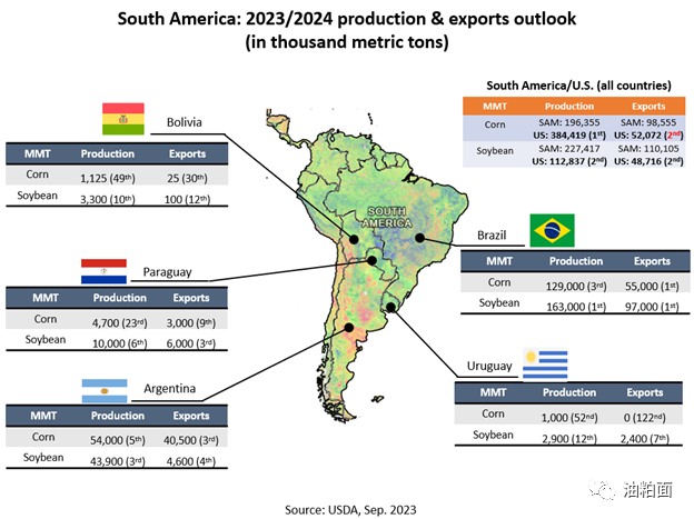 粮食进口重心转向南美，背后隐藏的秘密与未来的挑战！