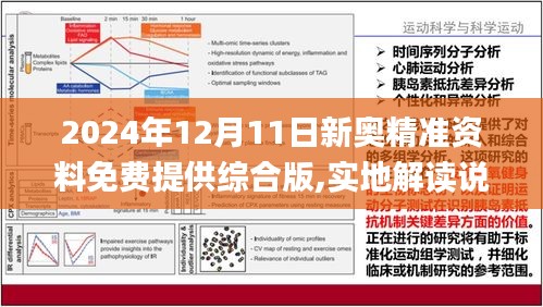 2025年3月15日 第51页