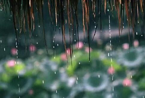 震惊！江南梅雨季或将永久消失？极端天气正在改写千年气候规律！